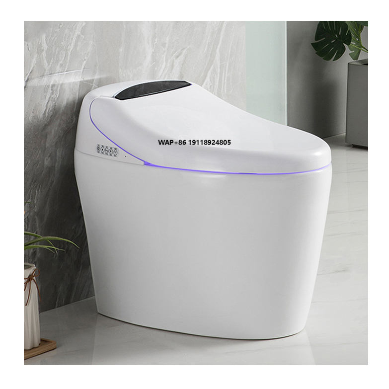 Home Bathroom Ware - High End Automatic Flush Sanitary Ware
