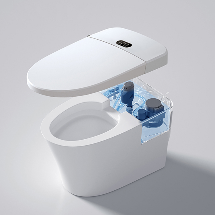 Modern Smart Toilet Digital Di - Home Bathroom Ware recensie en prijs
