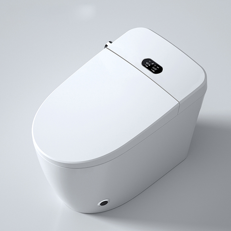 Modern Smart Toilet Digital Di - Home Bathroom Ware recensie en prijs
