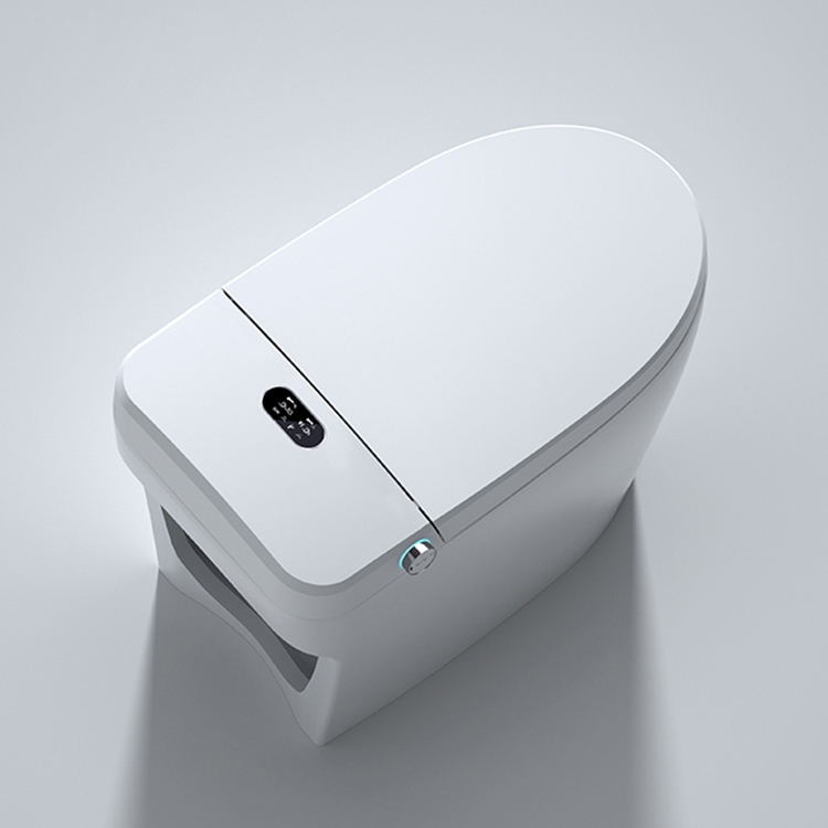 Modern Smart Toilet Digital Di - Home Bathroom Ware recensie en prijs