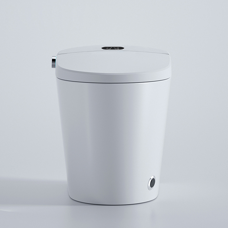 Modern Smart Toilet Digital Di - Home Bathroom Ware recensie en prijs