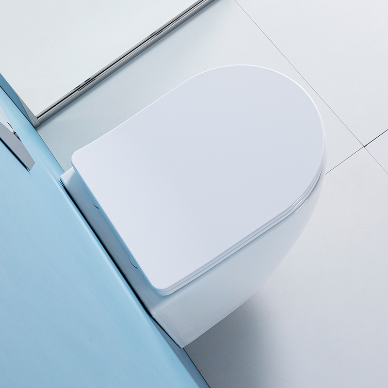 HM-207 OEM/ODM Wall Hung Toile - Home Bathroom Ware recensie en prijs