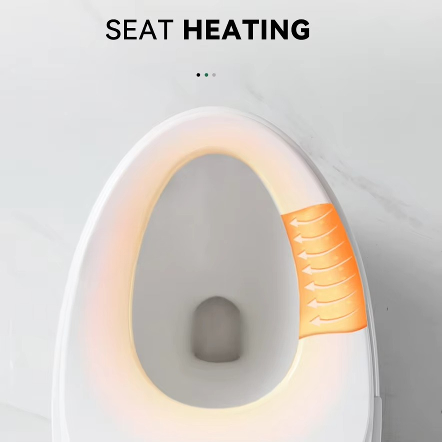 High End Automatic Flush Sanit - Home Bathroom Ware recensie en prijs