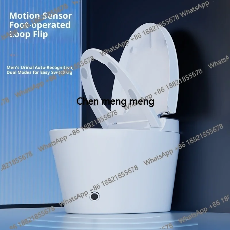 Z0189High End Automatic Flush  - Home Bathroom Ware recensie en prijs