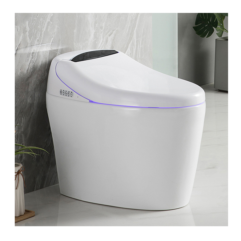 High-end Automatic Flush, Sani - Home Bathroom Ware recensie en prijs