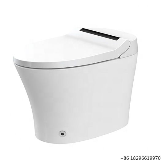 Easy Installation Electric Bid - Home Bathroom Ware recensie en prijs
