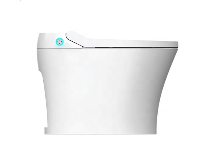 Easy Installation Electric Bid - Home Bathroom Ware recensie en prijs