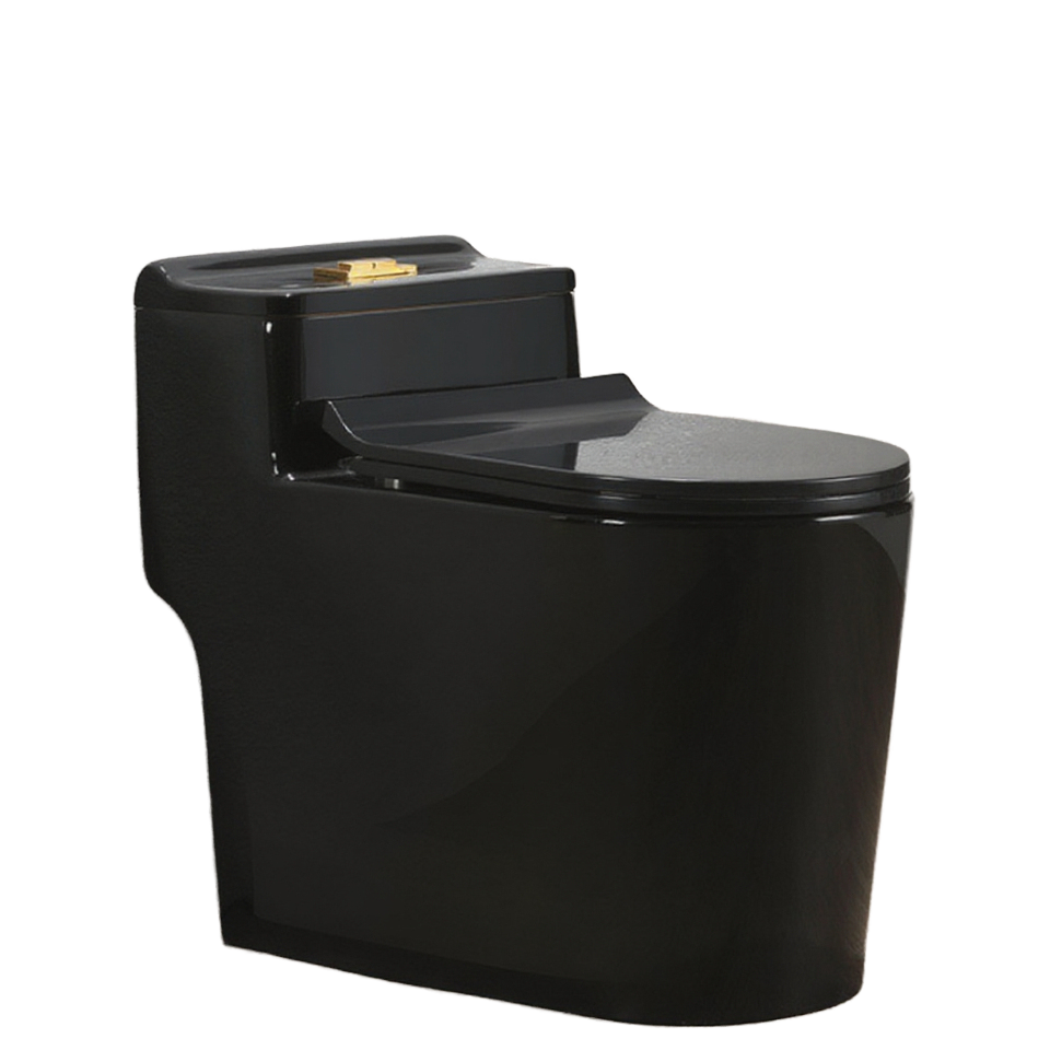 Modern Comfort Height One Piec - Home Bathroom Ware recensie en prijs