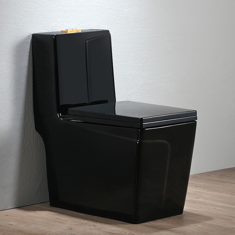 Modern Comfort Height One Piec - Home Bathroom Ware recensie en prijs