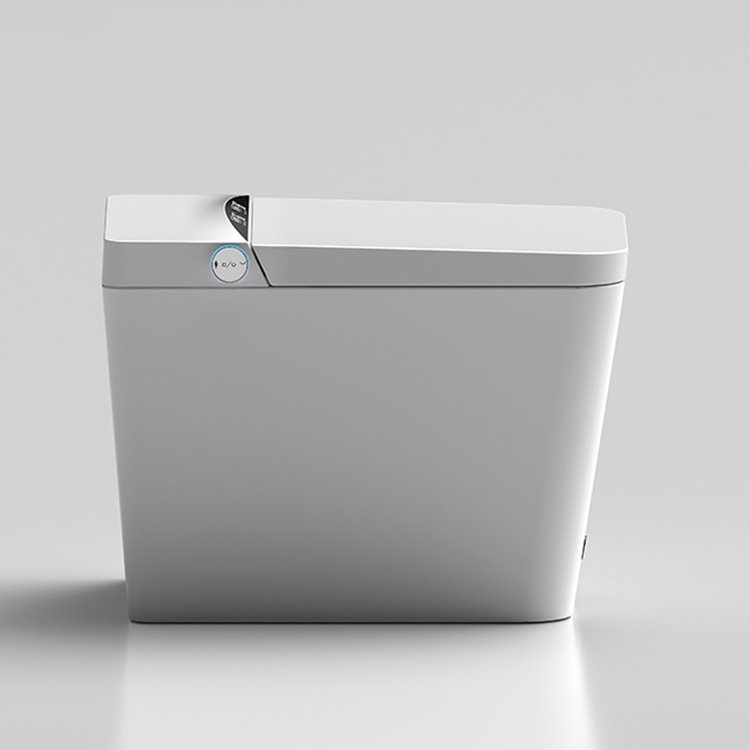 Floor Mounted Smart Toilet, CU - Home Bathroom Ware recensie en prijs