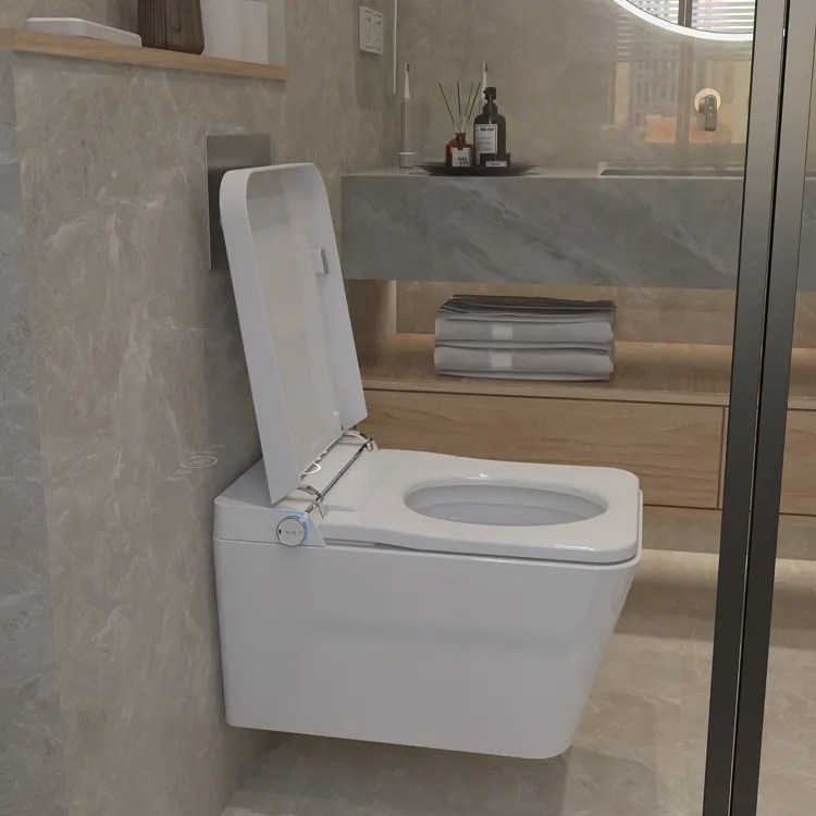 Wall Hung Smart Toilet App Con - Home Bathroom Ware recensie en prijs