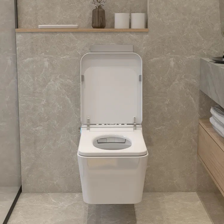 Wall Hung Smart Toilet App Con - Home Bathroom Ware recensie en prijs